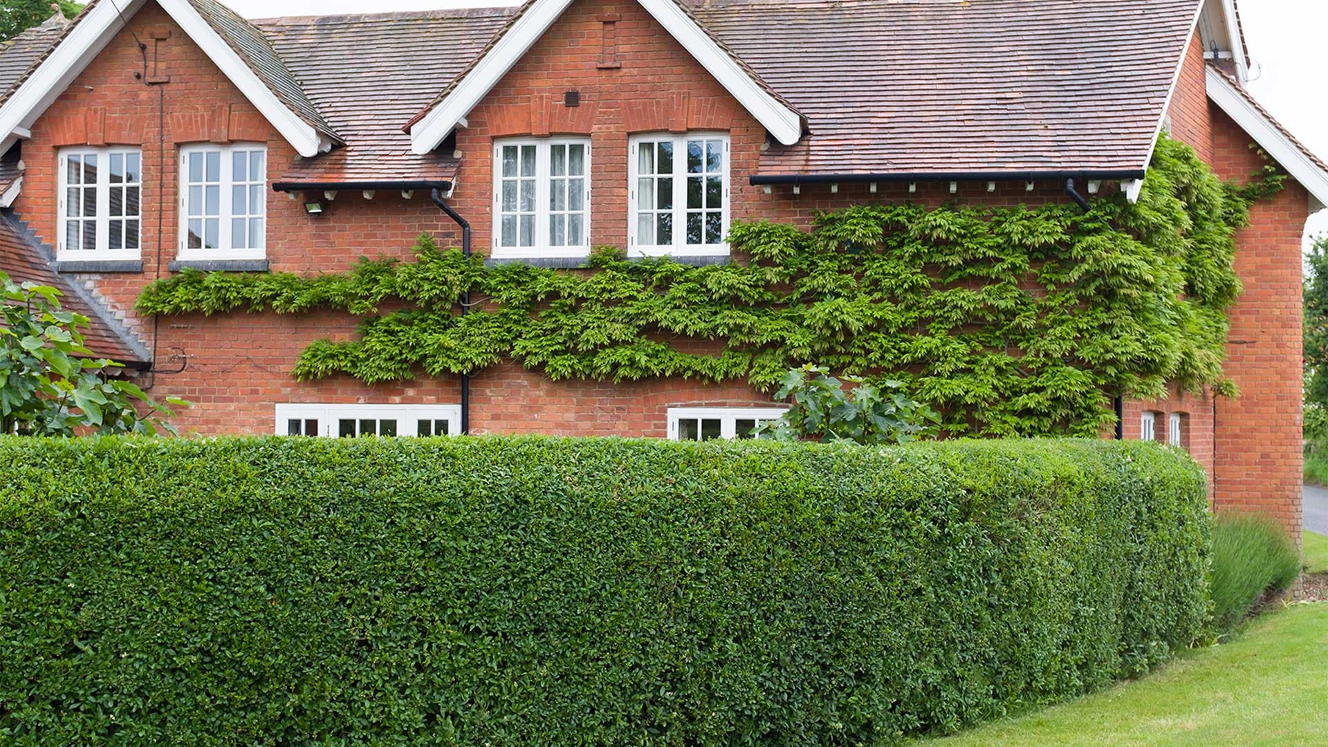 In-House Property Care